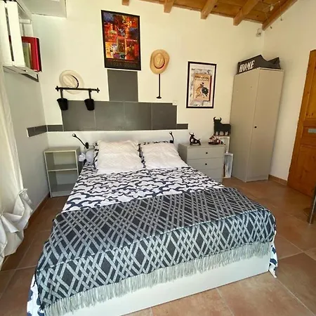 Au Mazet Du Parc Bed & Breakfast Ledenon